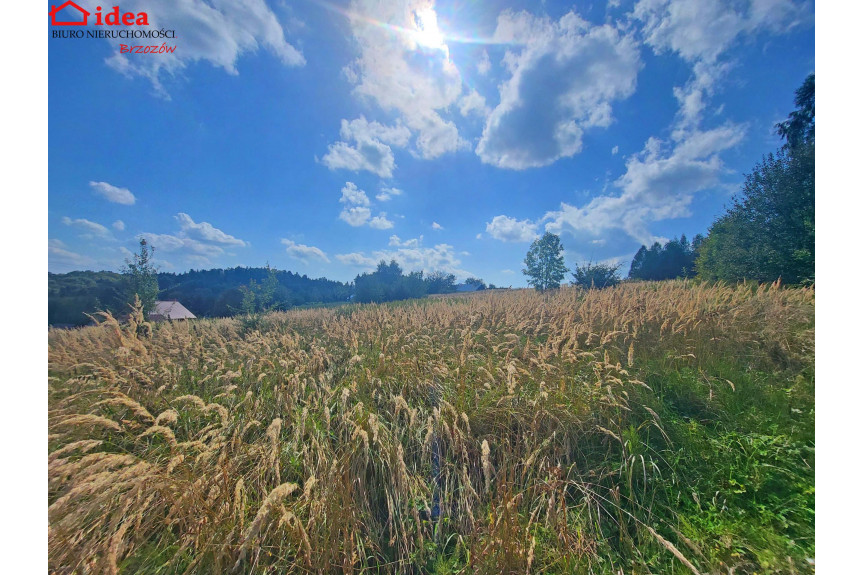 brzozowski, Brzozów, Działka na sprzedaż